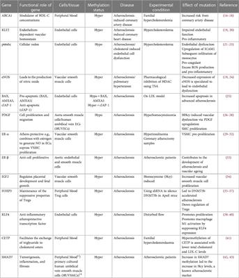 Epigenetic modifications as therapeutic targets in atherosclerosis: a focus on DNA methylation and non-coding RNAs